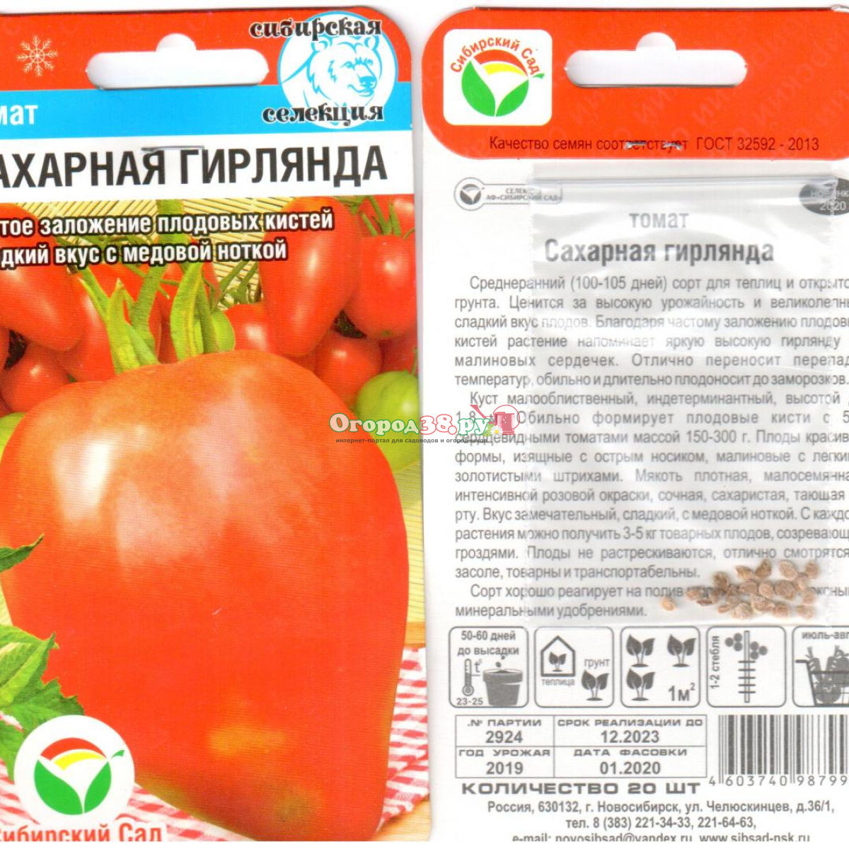 Розовый бизон томат. Помидоры сорт гирлянда. Помидоры гирлянда. Томат абрикотин f1. Томат черри мадейра.