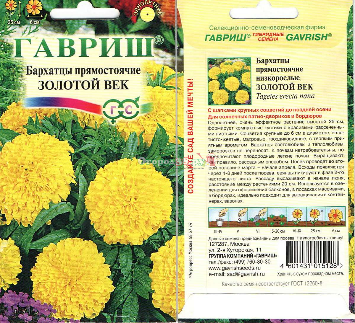 бархатцы золотой век. бархатцы тагетес золотой век. бархатцы прямостоячие discovery f1 yellow. Marigold flower. бархатцы золотой век.