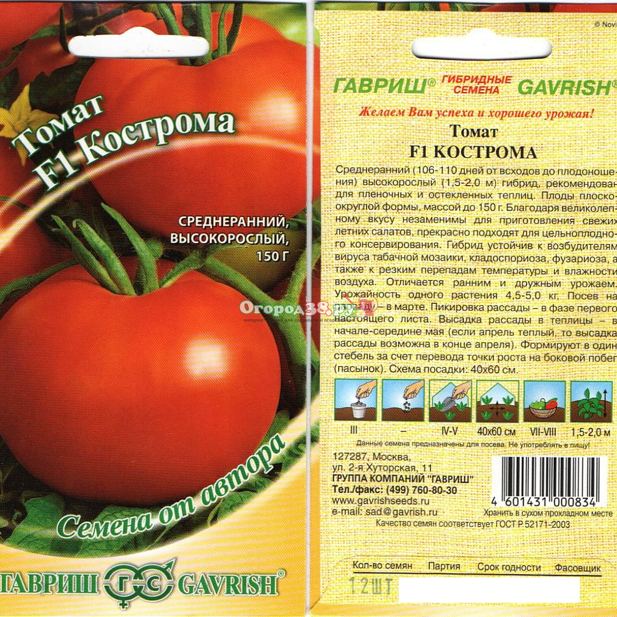 Семена томата описание. Томат Кострома Гавриш. Гавриш томат Кострома f1. Семена томат Кострома. Кострома f1 помидоры.
