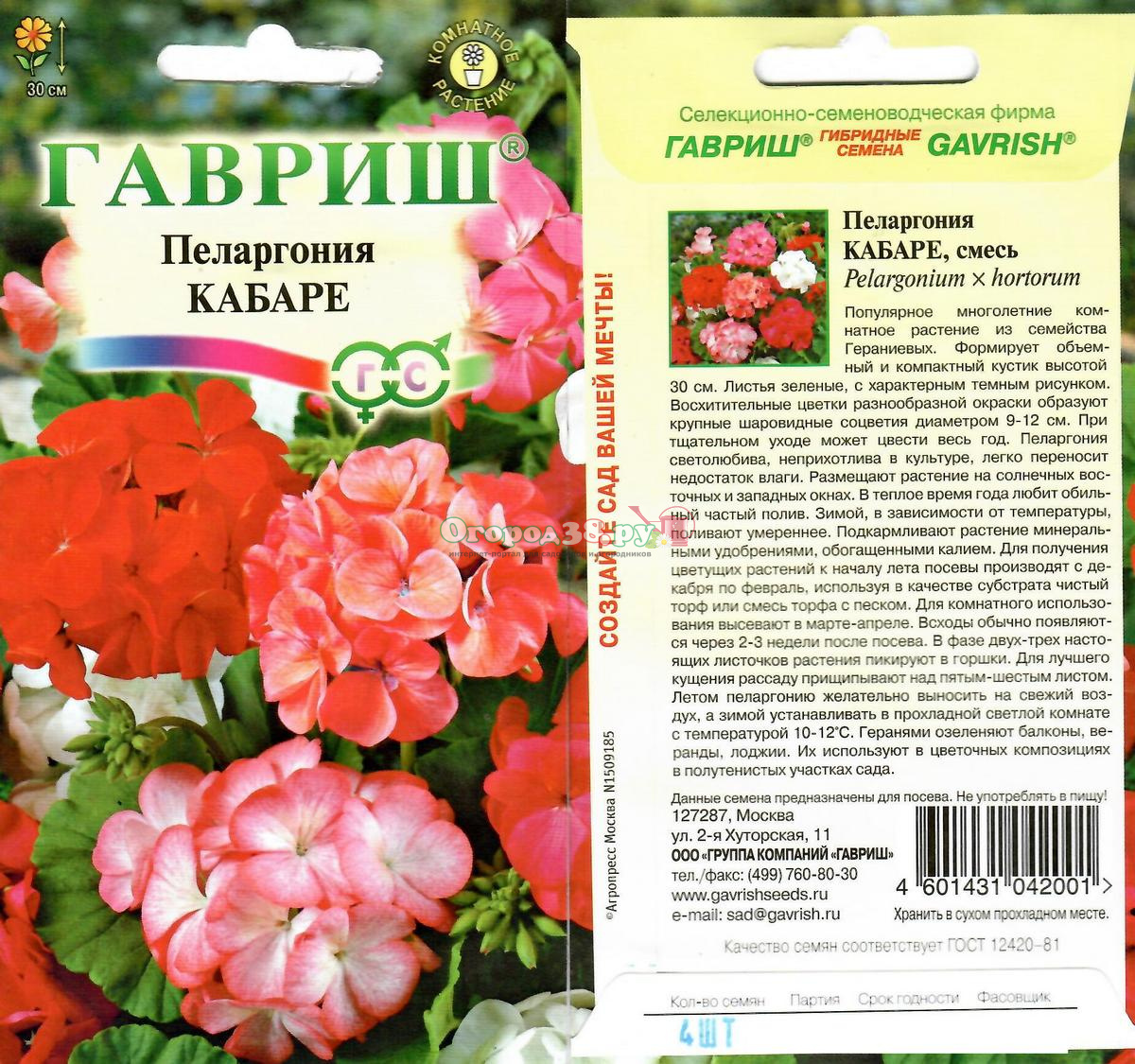 Каталог семян пеларгонии. Пеларгония кабаре. Пеларгония Садовая кабаре f2. Пеларгония кабаре f2 смесь. Пеларгония зональная кабаре.