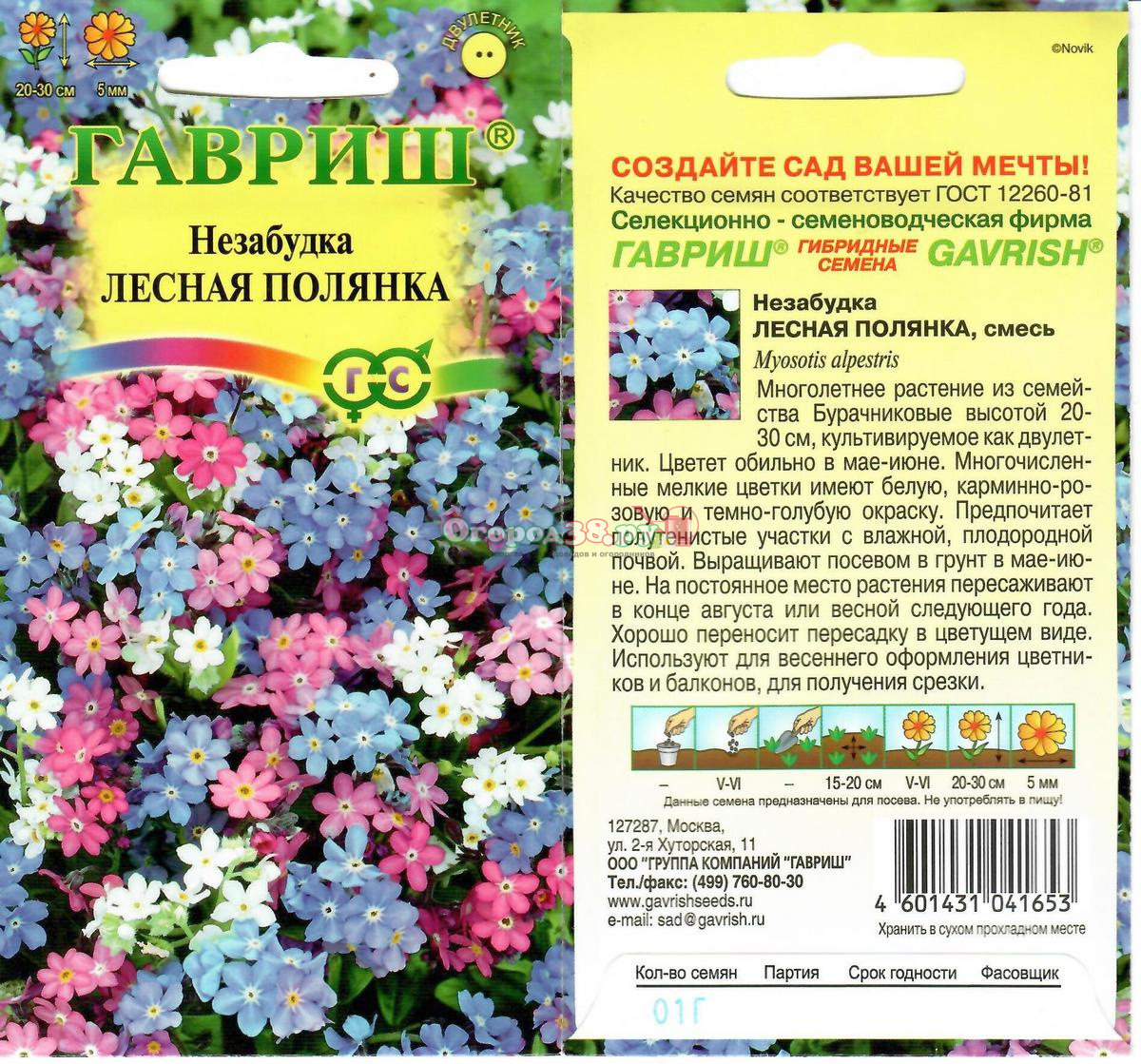 Незабудка семенами в открытый грунт. Незабудка Лесная Полянка Гавриш. Незабудка Лесная Полянка, 0,1г, Гавриш. Незабудка Альпийская Лесная Полянка. Незабудка Альпийская Лесная Полянка Гавриш.