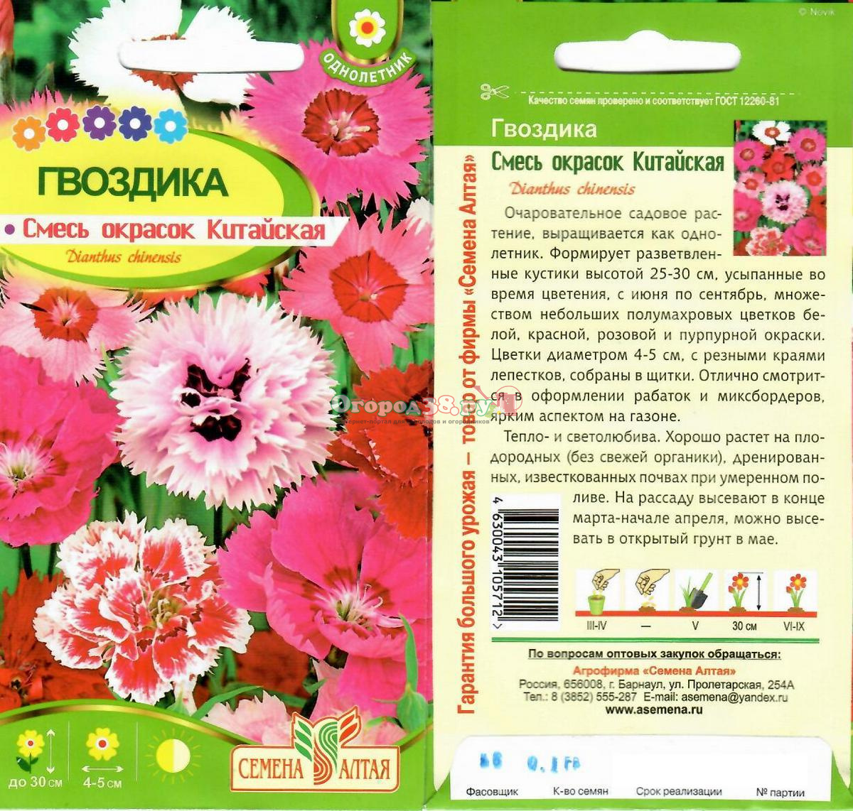 Гвоздика смесь окрасок. Гвоздика супер пинк пышная смесь. Гвоздика пышная смесь окрасок. Гвоздика пышная dianthus superbus. Гвоздика китайская рондо.